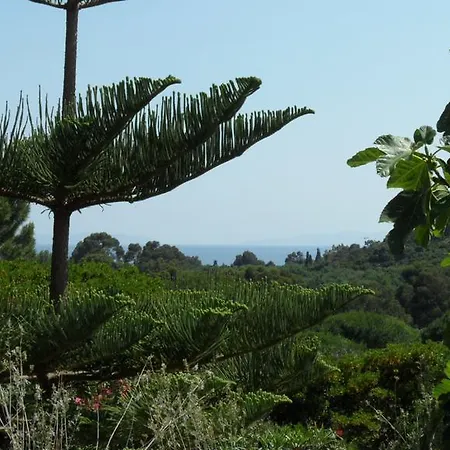 Appartement Carpe Diem Le Lavandou