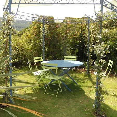 Carpe Diem * לה לבאנדו