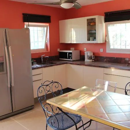 Carpe Diem * לה לבאנדו