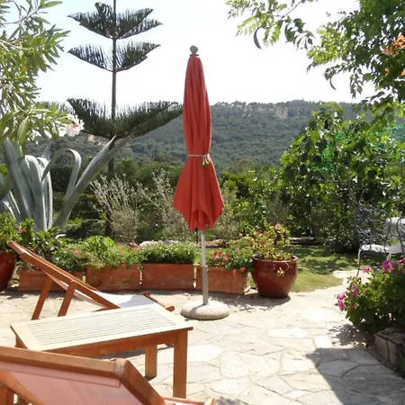 Carpe Diem לה לבאנדו