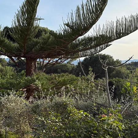 Carpe Diem לה לבאנדו